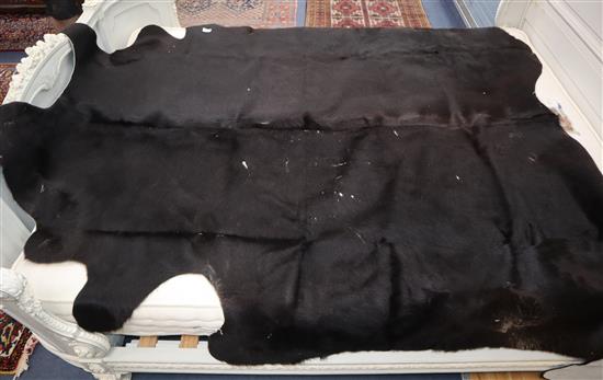 A large dark brown cow hide rug Length 240cm